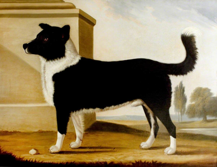 Imagen incónica del perro de Byron, un Terranova de perfil prácticamente negro y con unos toques de pelaje blanco alrededor del cuello y de las patas.