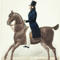 retrato ecuestre de un caballero vestido con levita negra, pantalones blancos y chistera negra, montado en un caballo marrón visto de perfil
